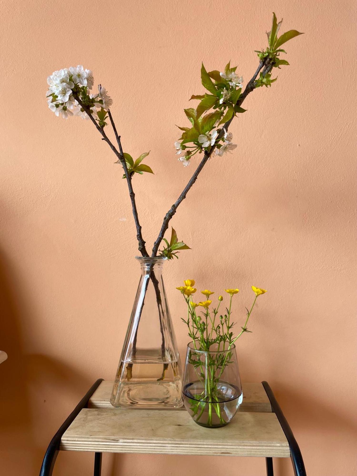 Studio Rosa Miagliano Kültér fotó